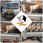 Jasa Kirim Motor